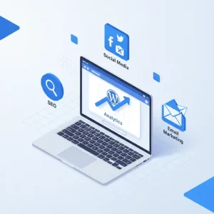 WordPress website traffic