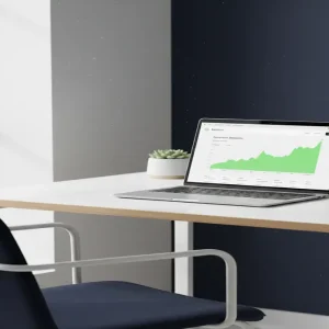 sell email newsletter for profit