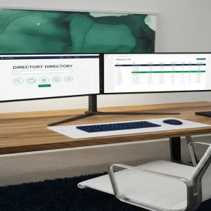 build a niche directory website