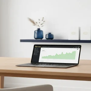 flip shopify stores for profit