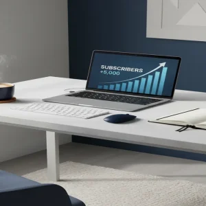 sell niche substack newsletters