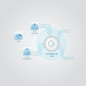 niche saas integration consulting