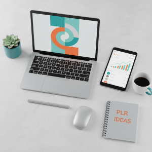 repackage plr for profit